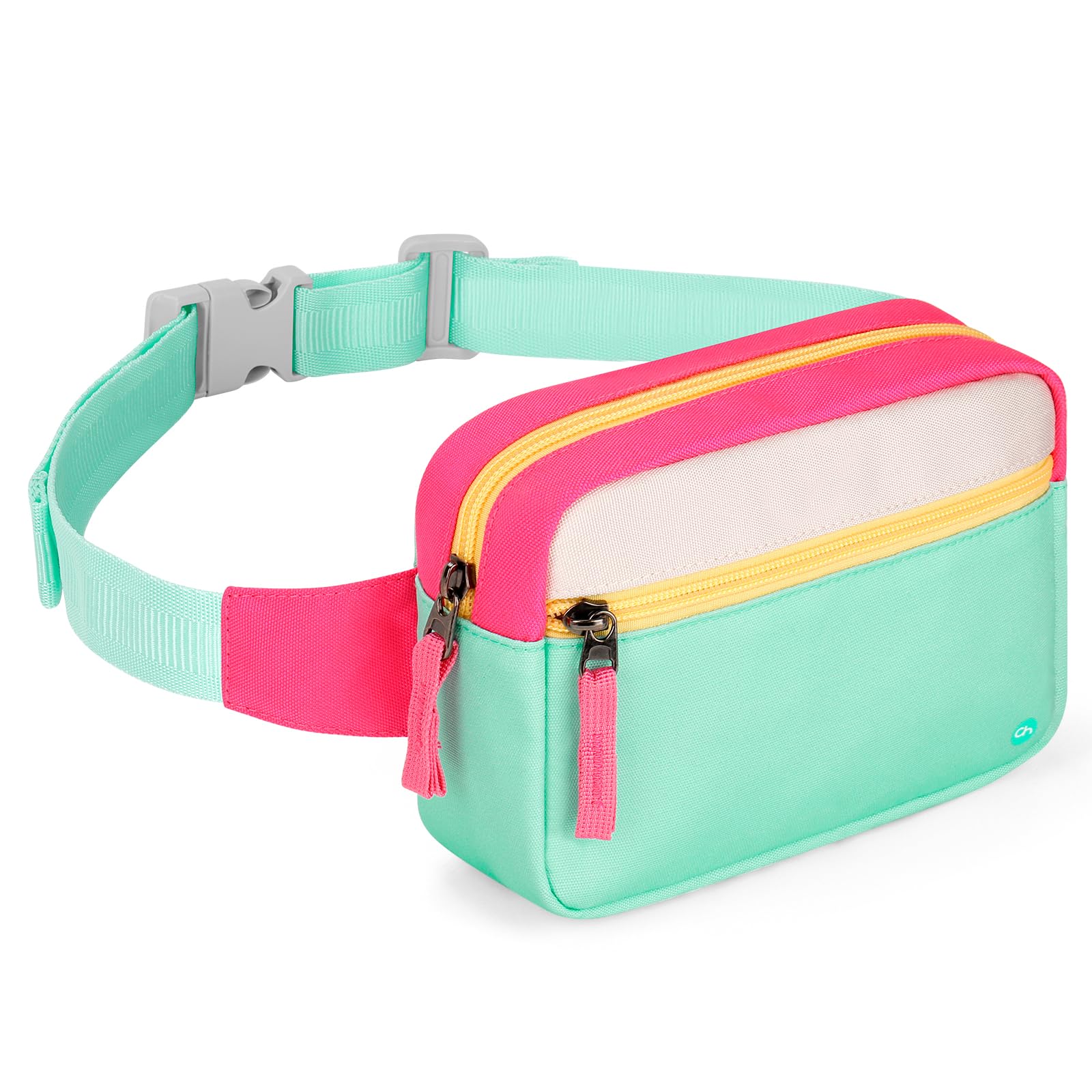 Pink & Teal Fanny Pack