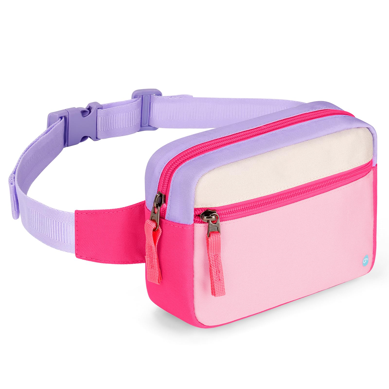 Pink & Purple Fanny Pack